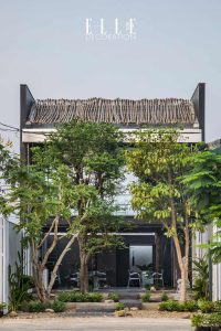 MW Archstudio vật liệu địa phương