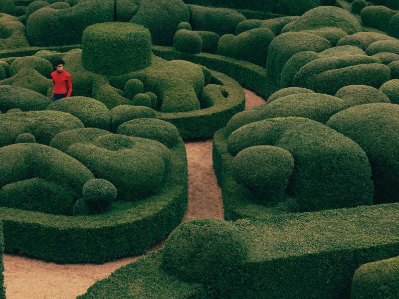 Triển lãm “Garden Future”: Những khu vườn của quá khứ và tương lai