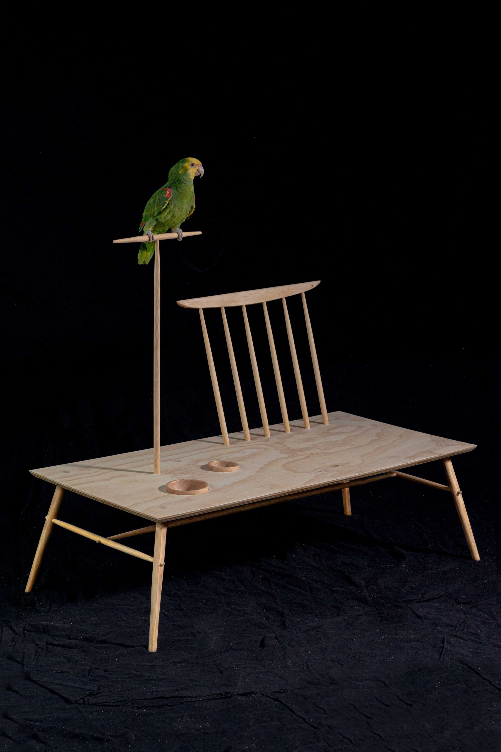 Studio Ossadiana parrot bench