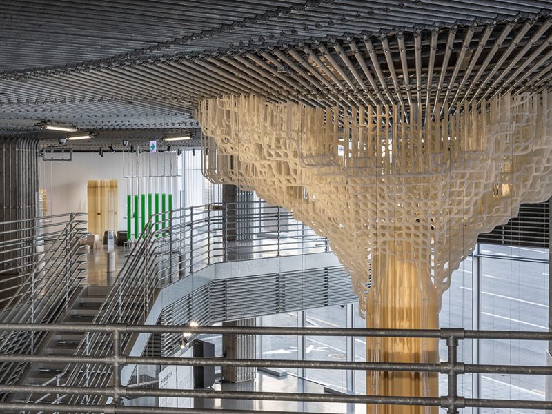 "Cây" lọc không khí từ tảo biển