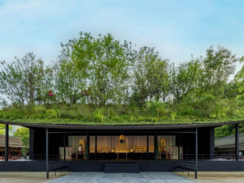 Khu rừng lơ lửng trên mái đền Dazaifu Tenmangu