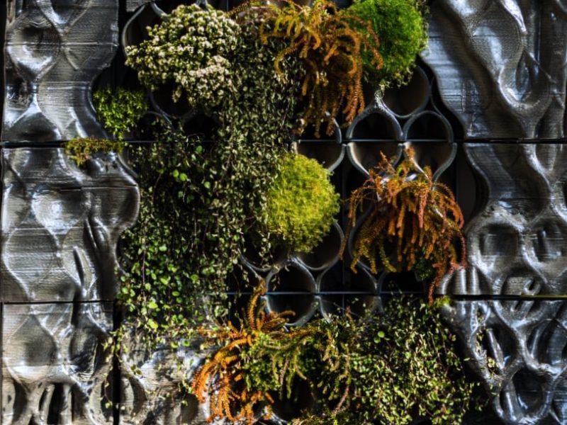 Tường Biomic: Kiến trúc và thiên nhiên hòa quyện