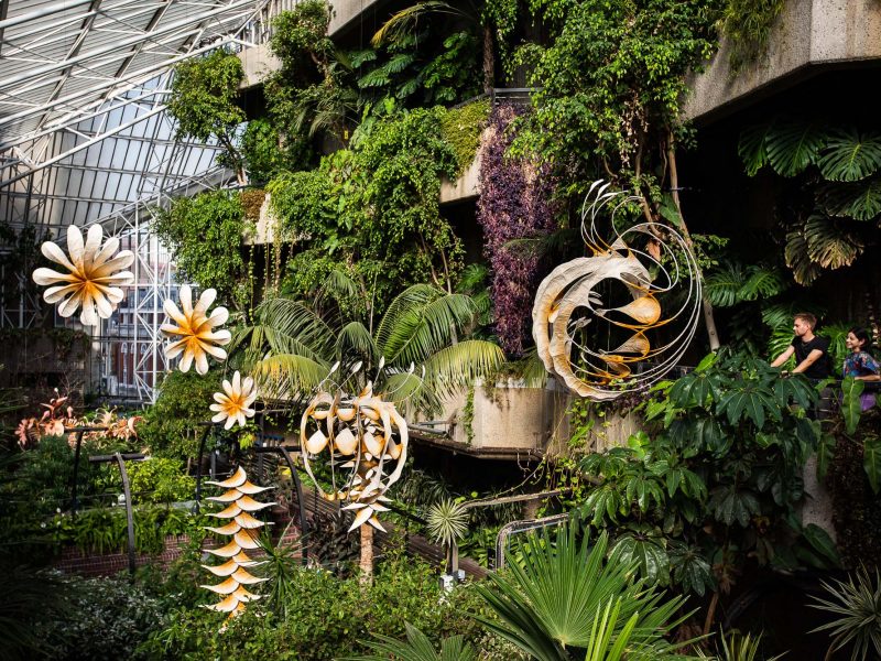 Ranjani Shettar và thế giới kỳ hoa dị thảo