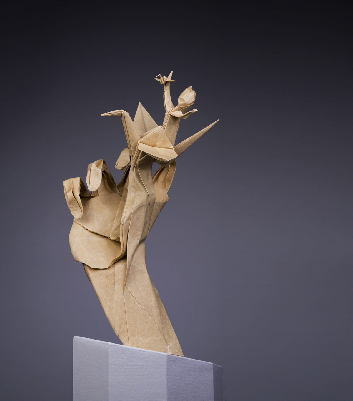 Nghệ sĩ gấp giấy Origami Nguyễn Hùng Cường 3