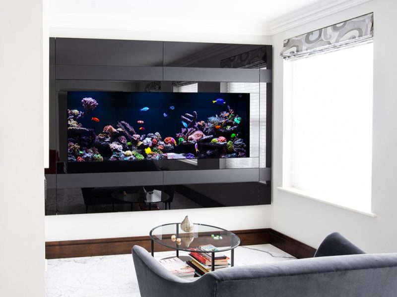 Hồ thủy sinh - Thủy cung sinh động