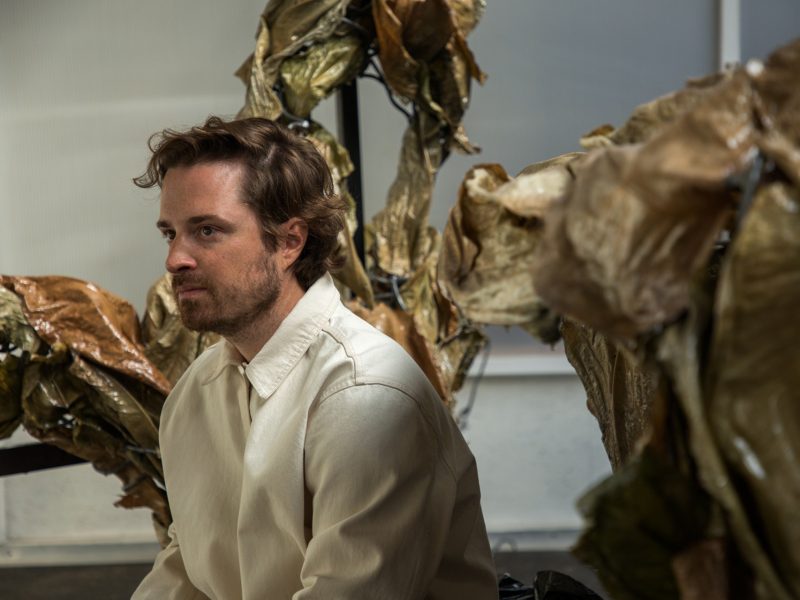 Marcin Rusak và vẻ đẹp khác thường của hoa