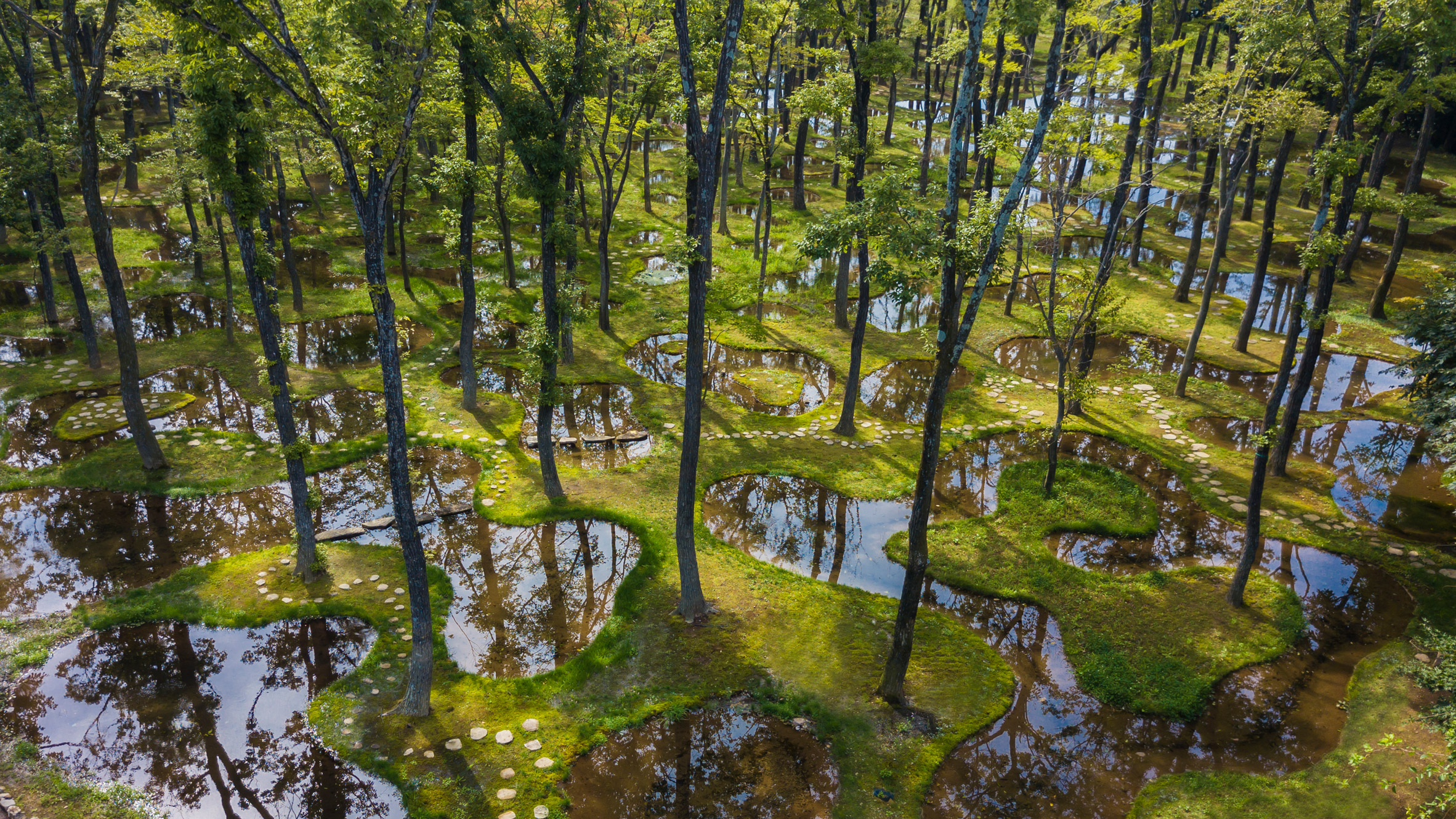 water garden junya ishigami