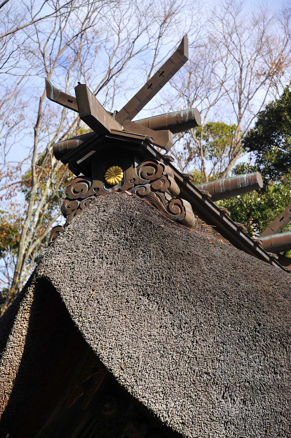 Mái tranh bổn điện đền Oarai Isosaki