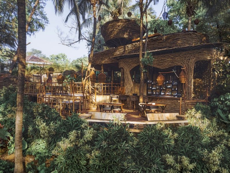 Quán bar Como Agua: Cảm hứng từ tổ chim nhiệt đới