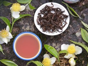 Feature_Thiên nhiên quanh một thức trà