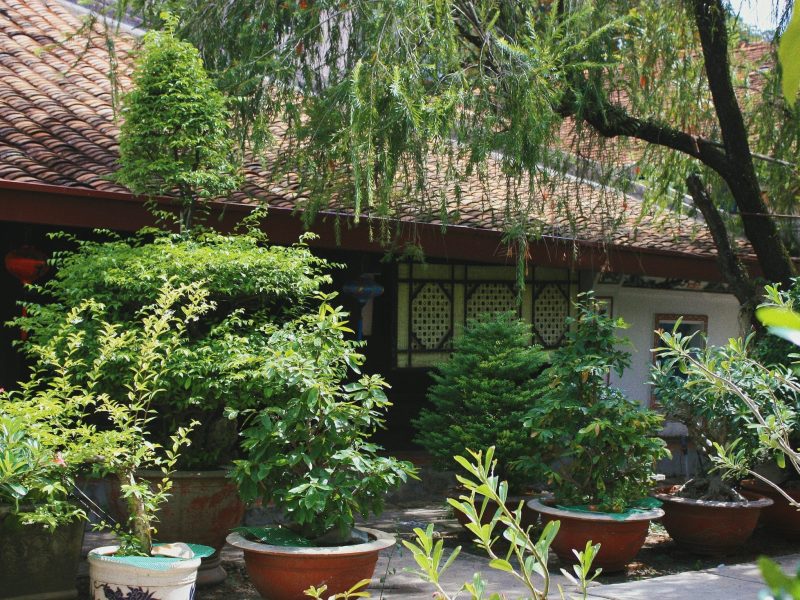 Vườn nhà - Trải nghiệm không biên giới của kiến trúc