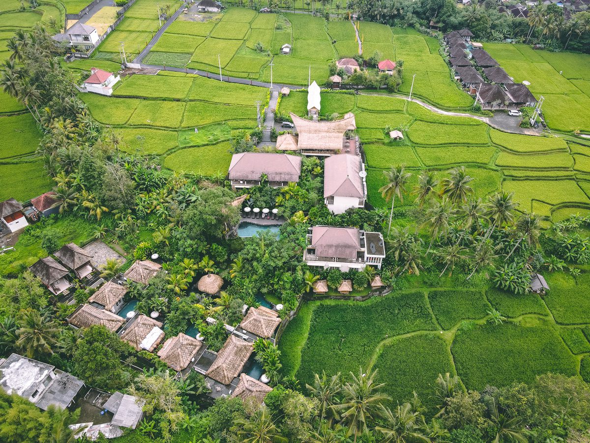 bali tegalalang ruong bac thang resort du lich