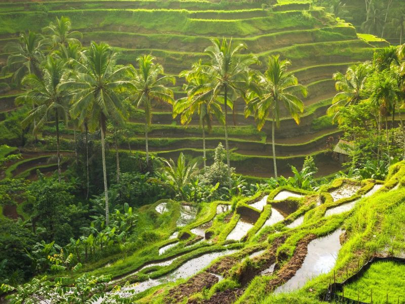 Bali: Thiên đường mùa hè