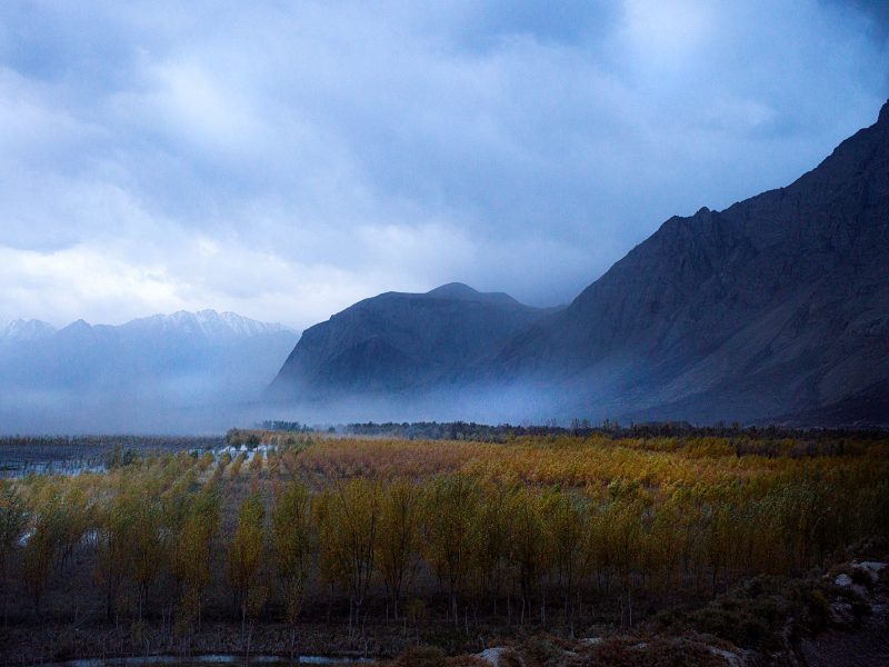 Triển lãm 224 by TRAN THANH THAO-Hành trình của sự tái sinh
