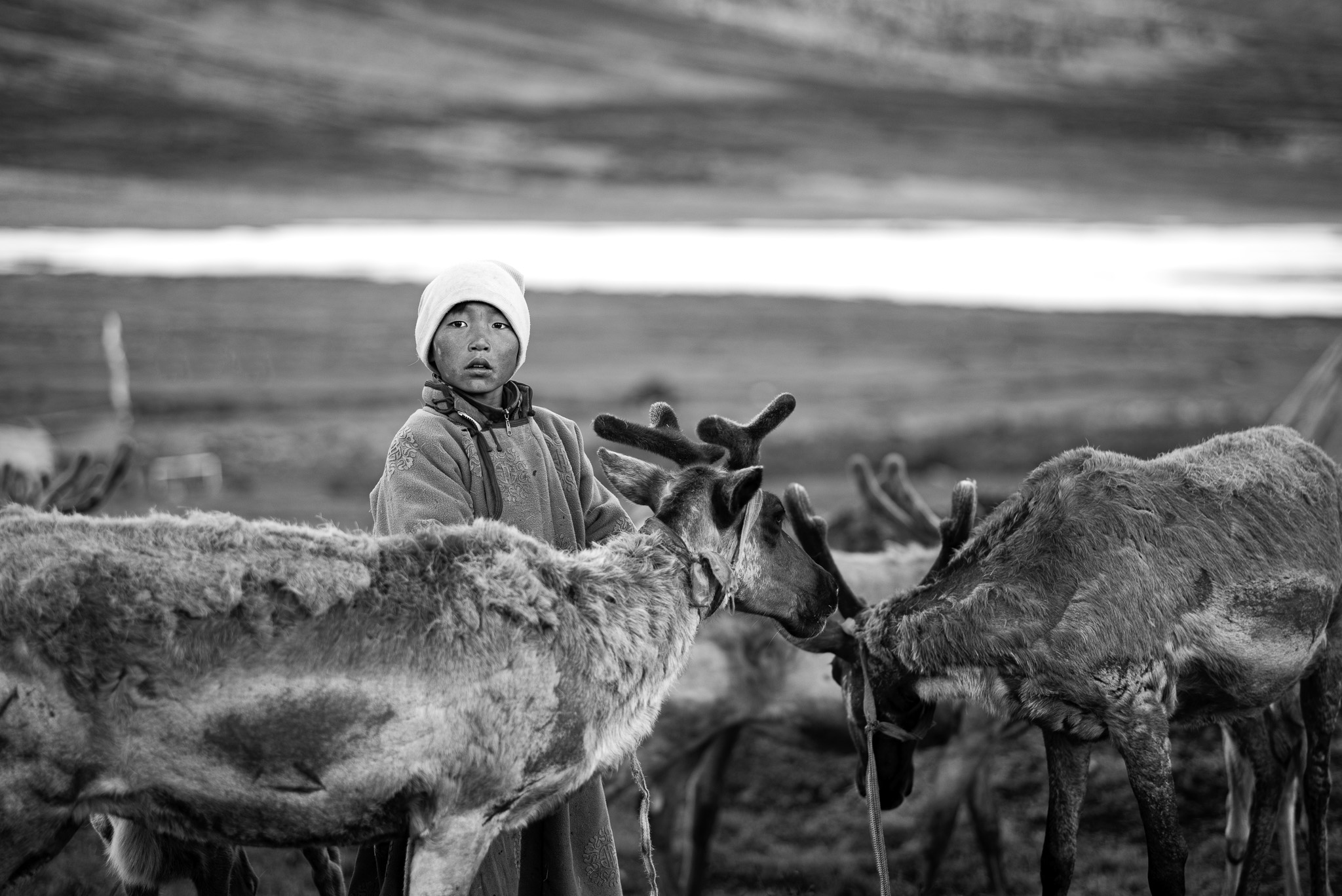 tran thanh thao mongolia 224 nhiep anh