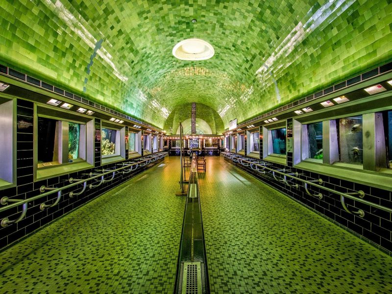 7 thuỷ cung ấn tượng nhất trên thế giới