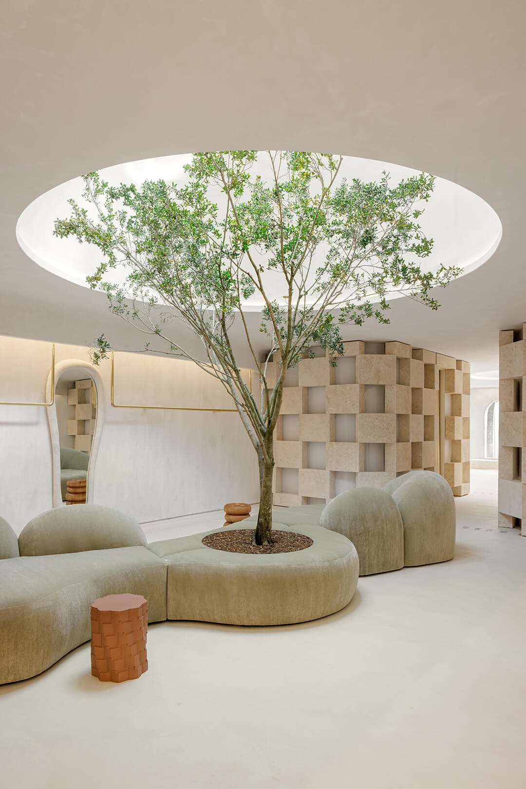 cay da banyan Ba Tu cua hang Cult Gaia Miami Sugarhouse