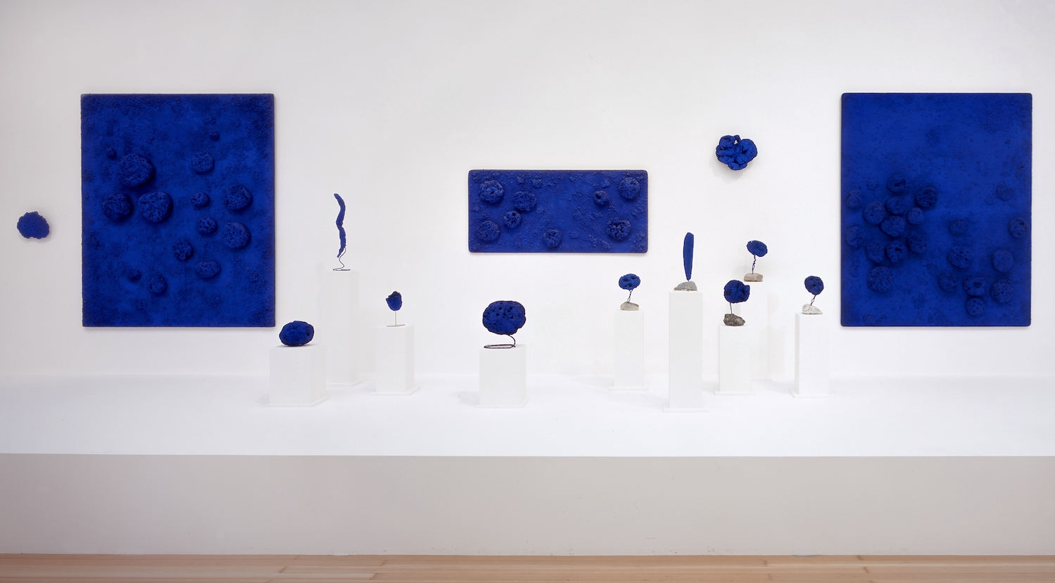 nghe thuat xanh lam duong dai yves klein