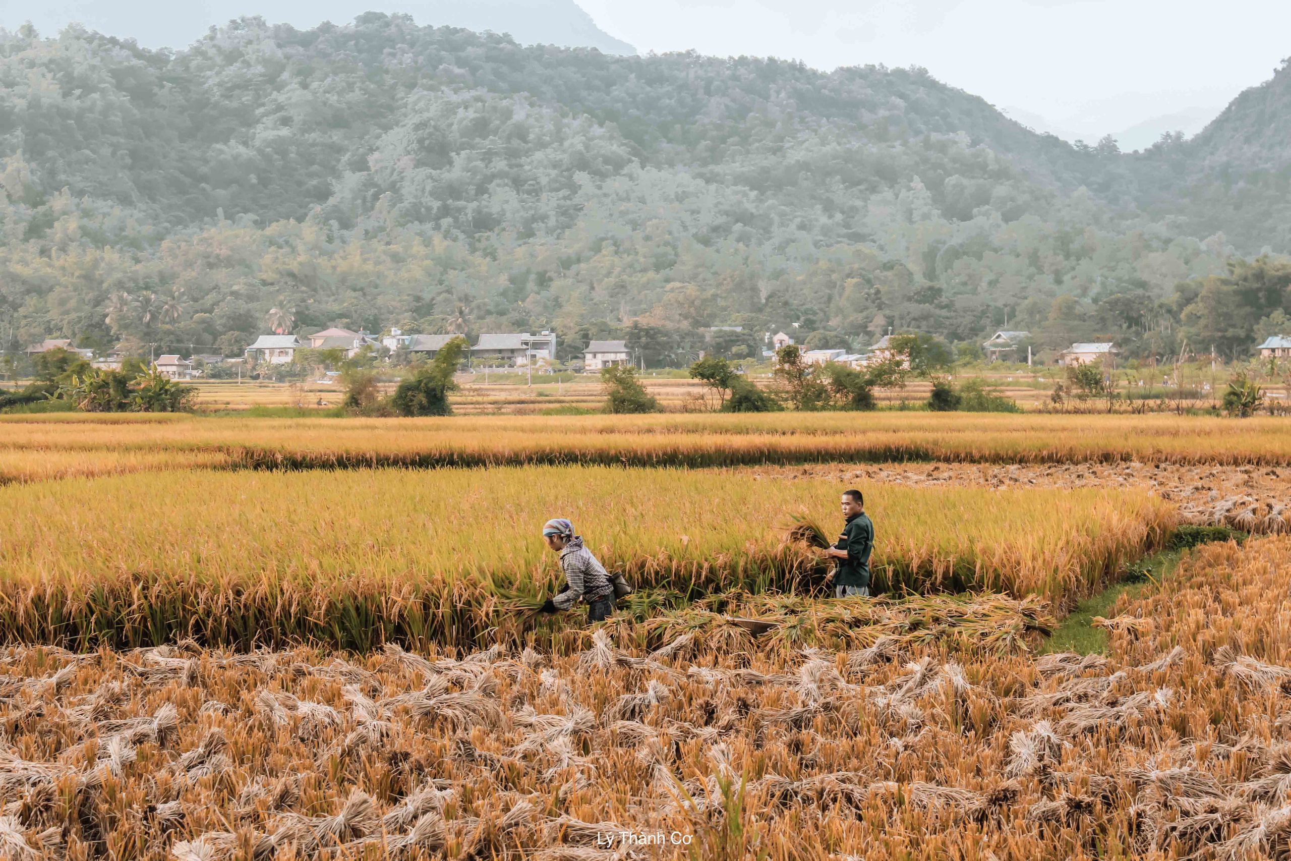 Mai chau du lich tay bac 