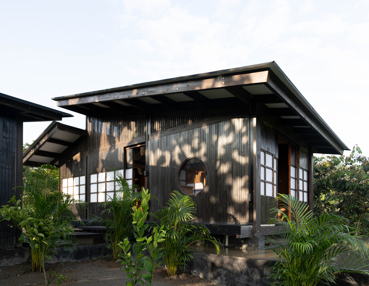 cau truc san cao Irori House Baquio Arquitectura Ecuador