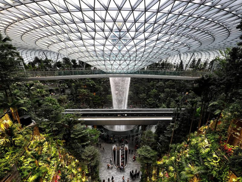 Thiết kế biophilic: Gắn kết con người và thiên nhiên