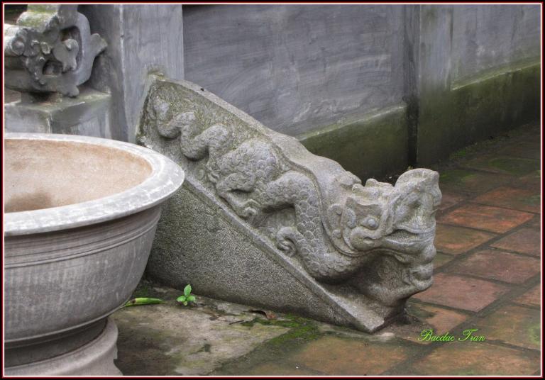 hoa tiet rong bo tu linh tai bac them chua Pho Minh