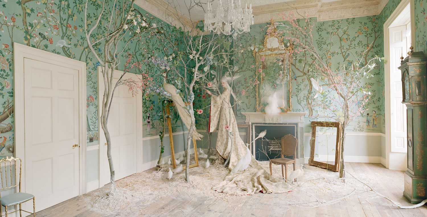 giay dan tuong de gournay tim walker