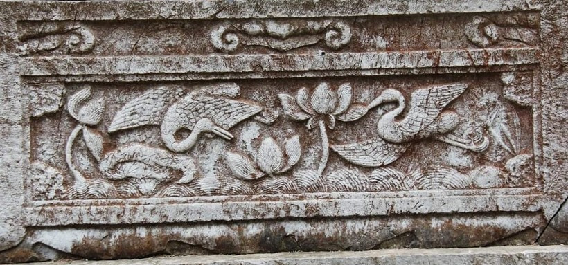 song nuoc hoa sen chim