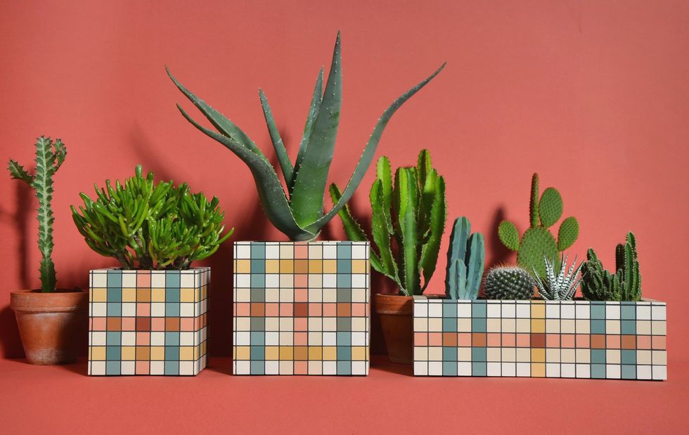 plant pot Frida Julie Harrison
