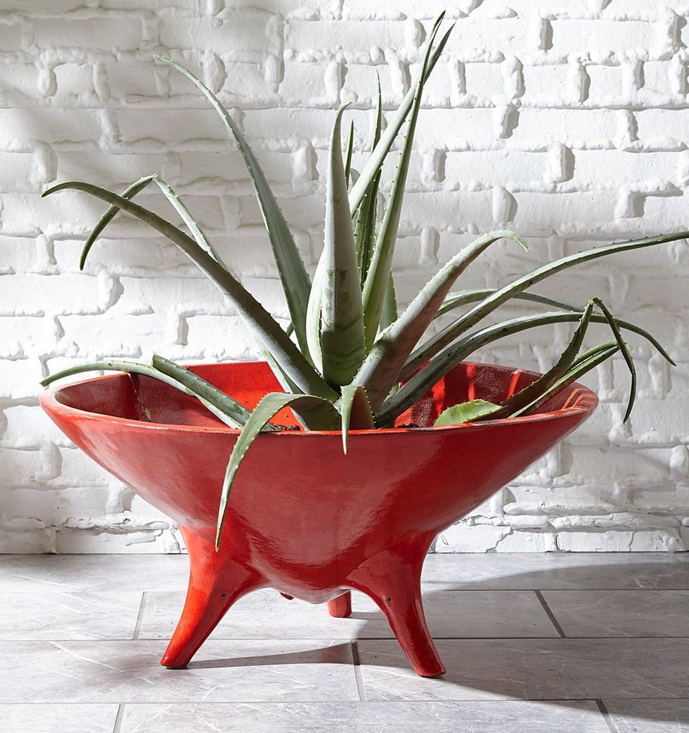 plant pot Okura Jonathan Adler