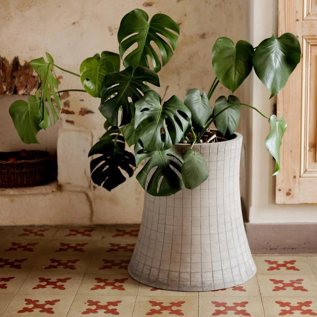 nuclear lyon beton pot