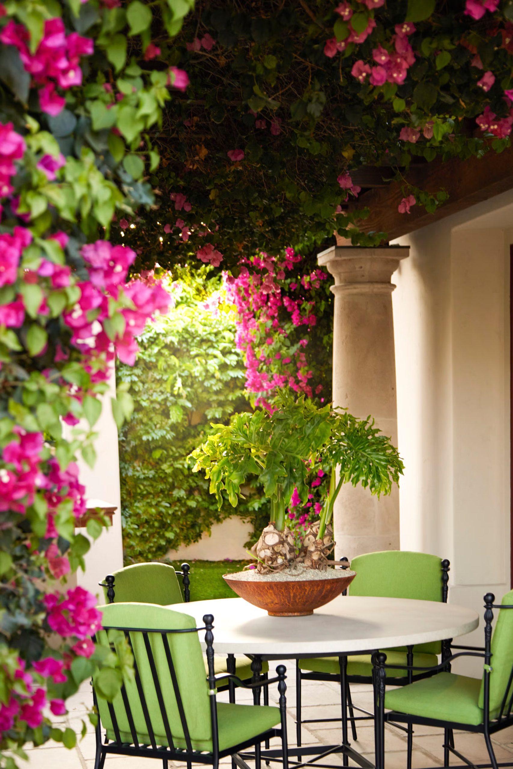 hoa giay vuon ngoai that