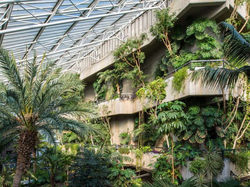 Eco Brutalism: Khi kiến trúc hòa cùng sinh thái