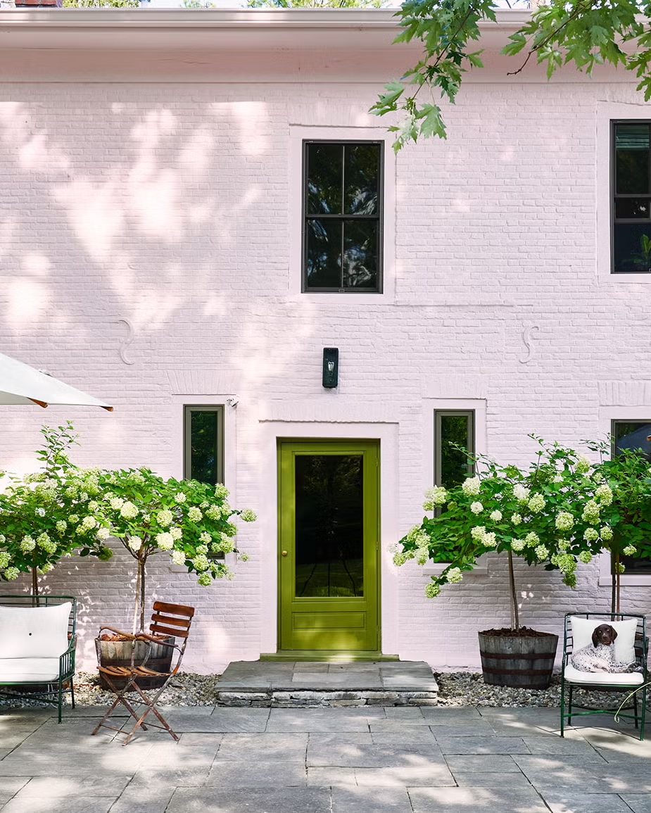cua chinh front door xanh oliu olive green Antony Todd New York