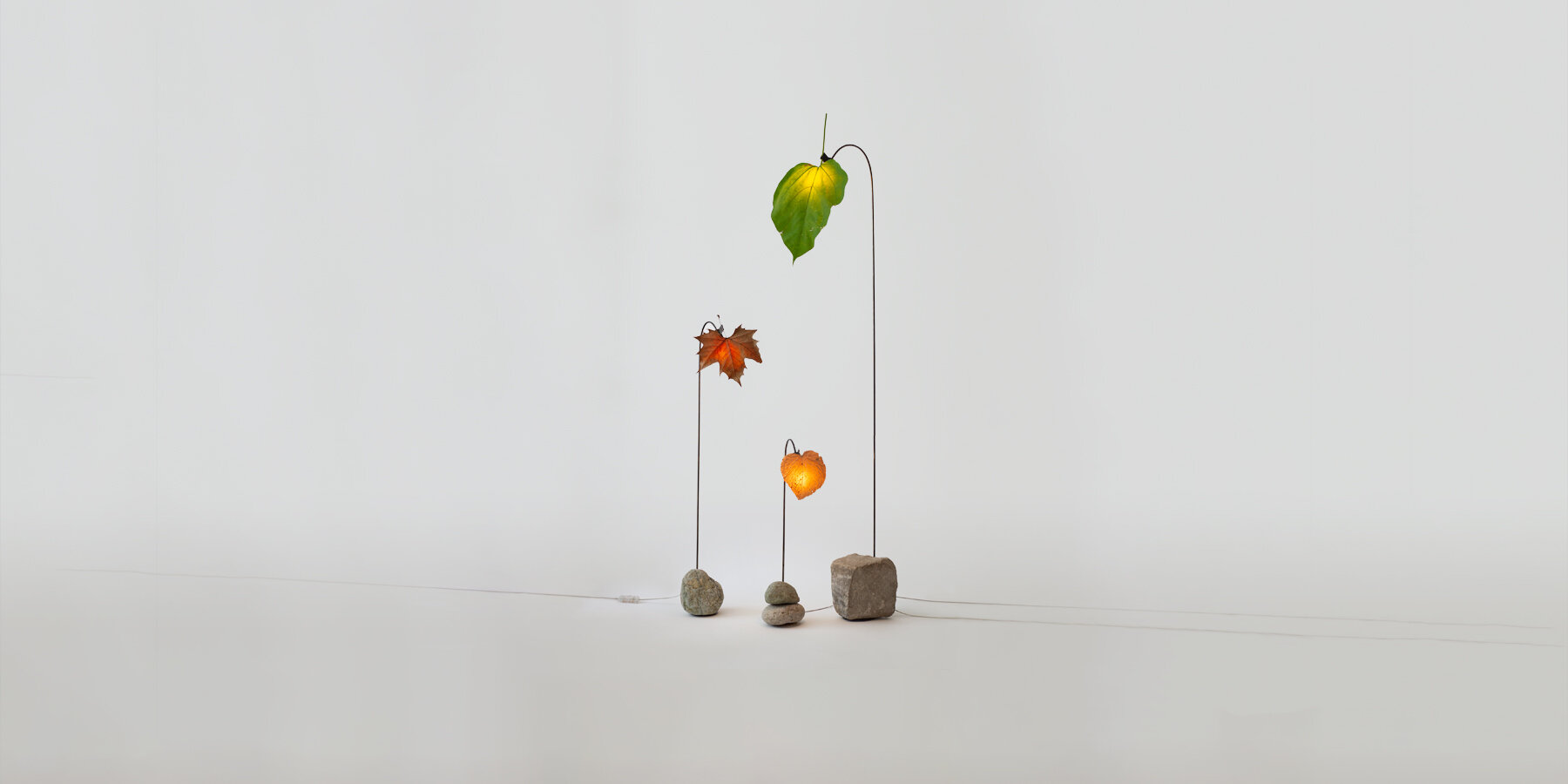 anh sang grandpa lamp thomas takada