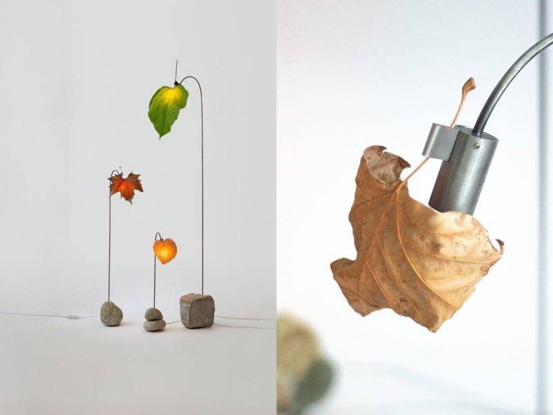 Grandpa’s Lamp: Những chiếc đèn kể chuyện thời gian
