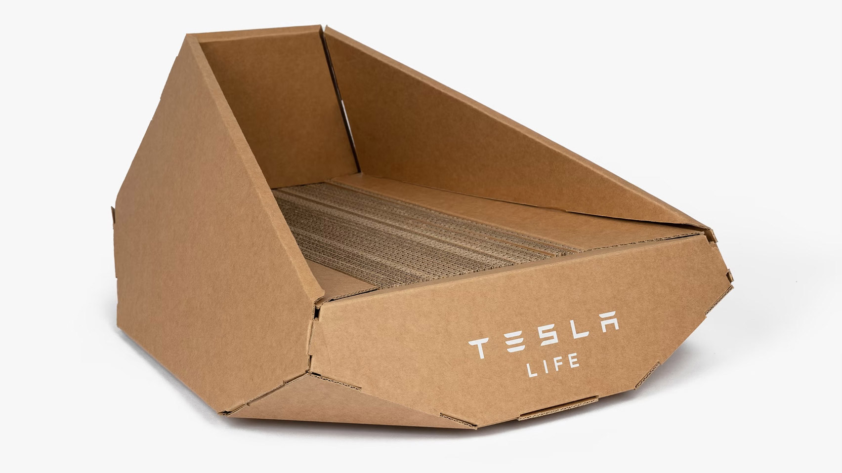 tesla giuong meo thu cung