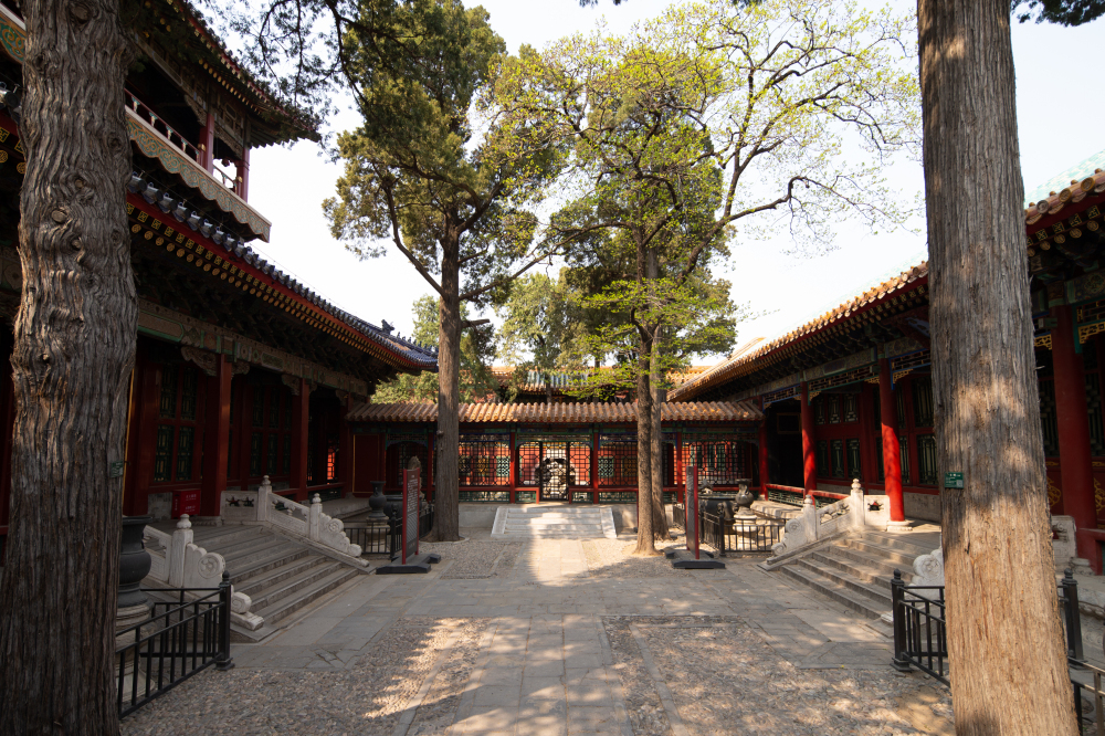 tu cam thanh cung dien di tich lich su trung tu