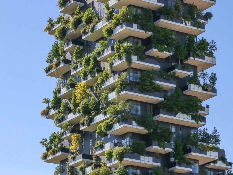 Phát triển công trình xanh - Chìa khóa tiến đến Net Zero Carbon