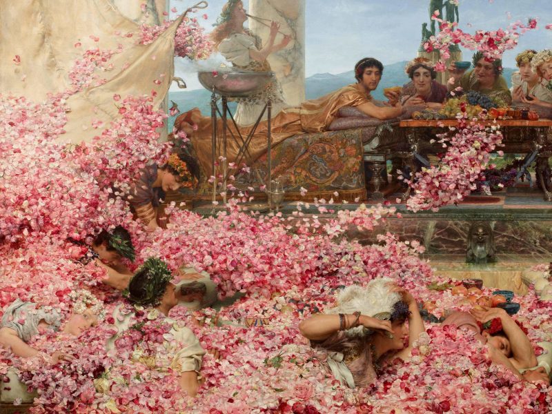 Hoa hồng và lịch sử tiến hóa đầy quyến rũ