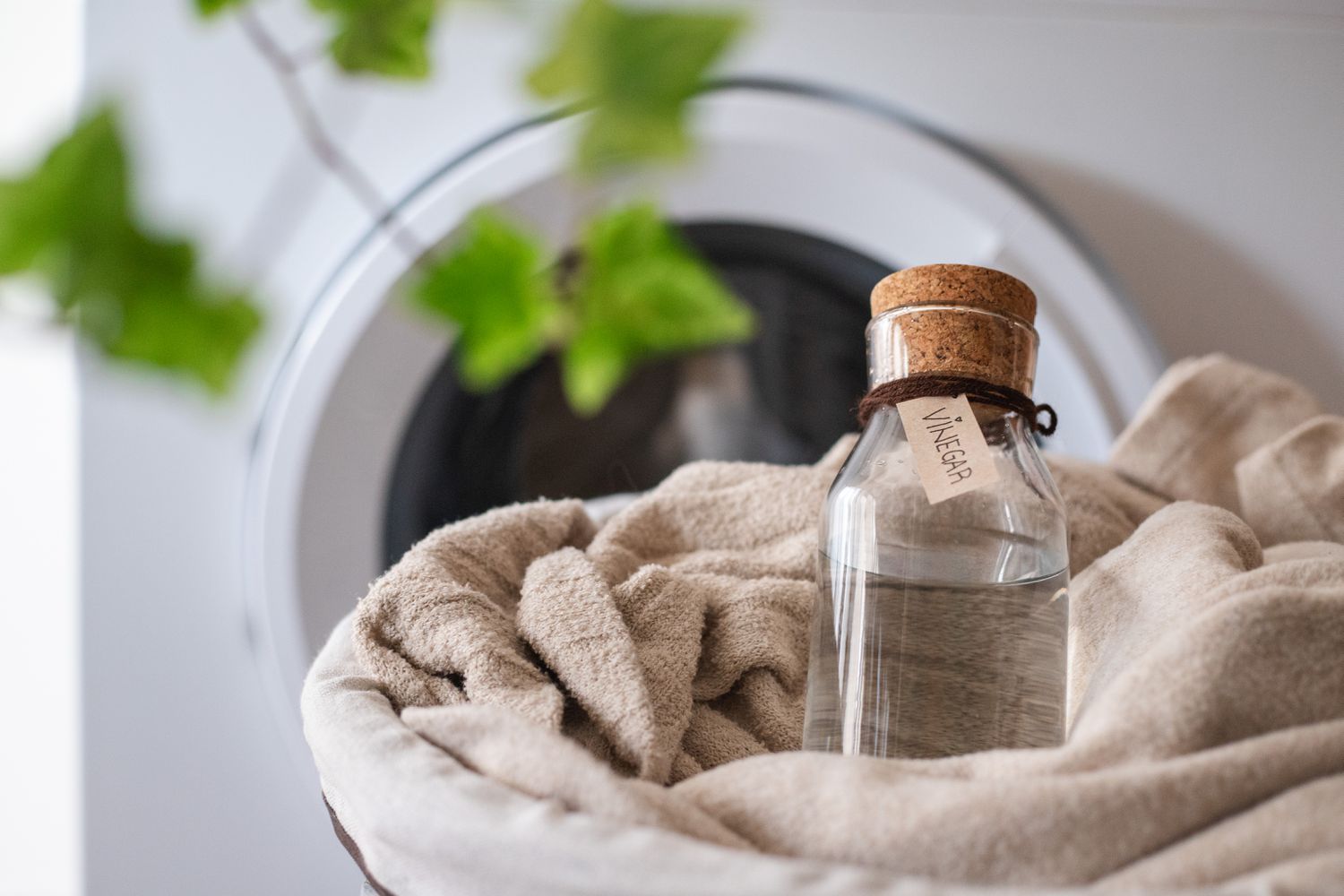 laundry giam vinegar