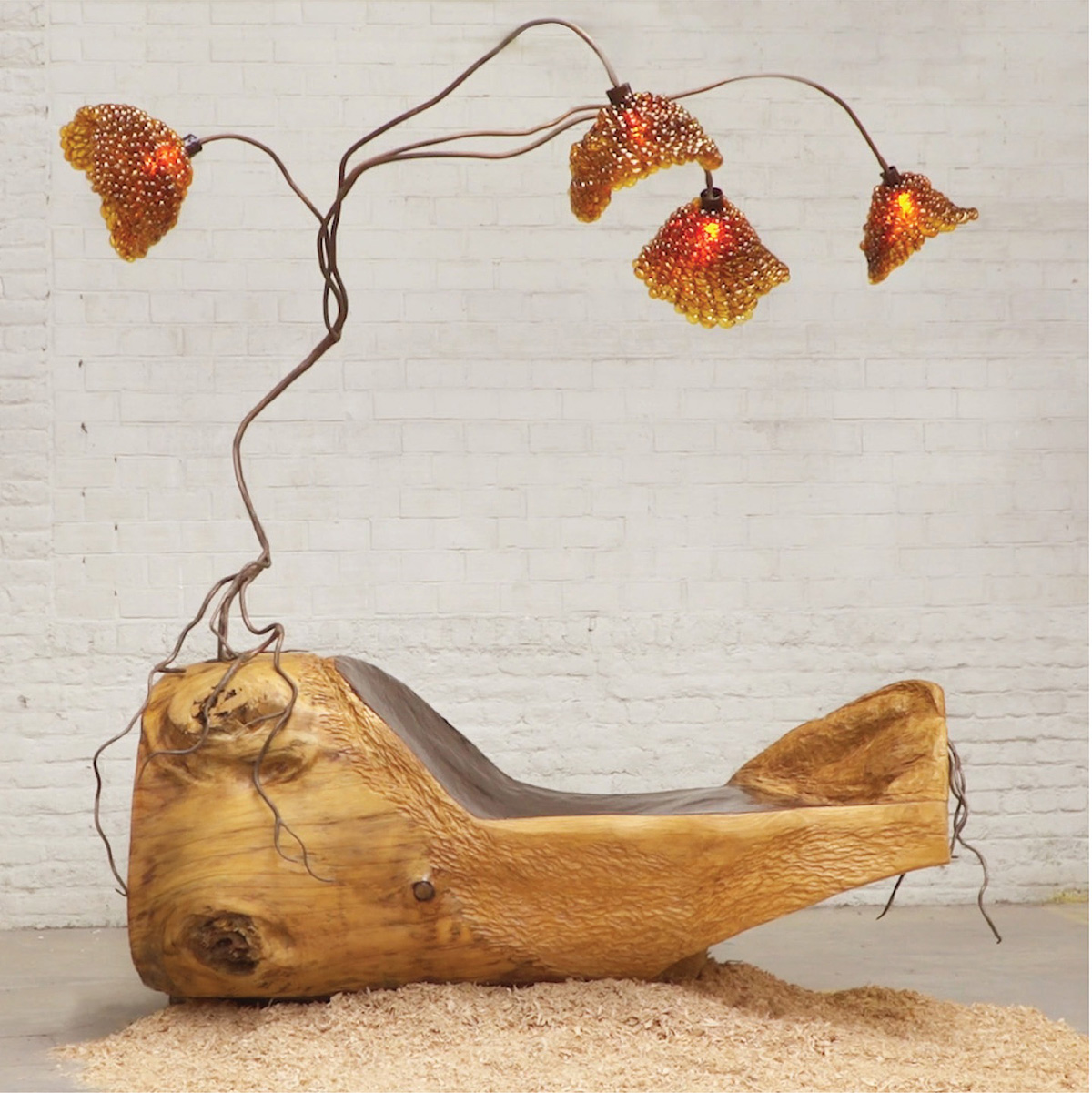 Insects Cradle 1