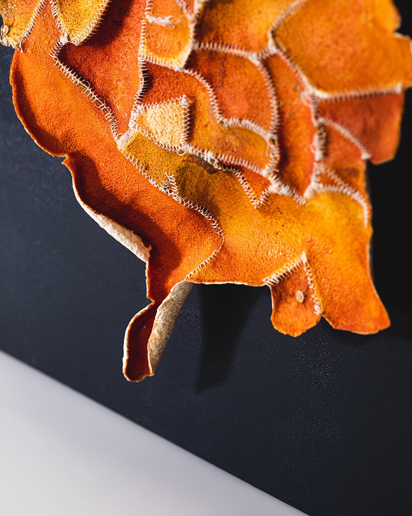 vo cam recycle citrus waste Alkesh Parmar Studio Arp Citrus Sinensis Material Matters