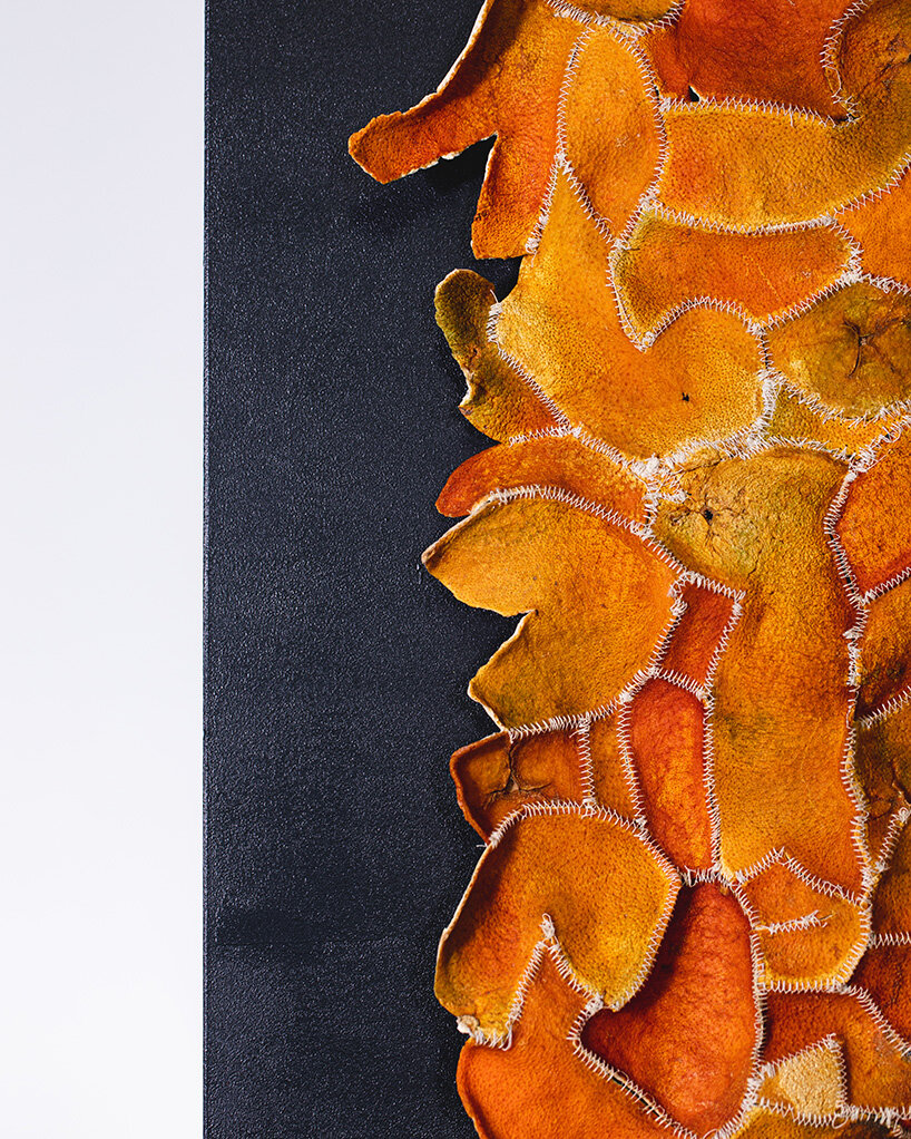 vo cam recycle citrus waste Alkesh Parmar Studio Arp Citrus Sinensis Material Matters