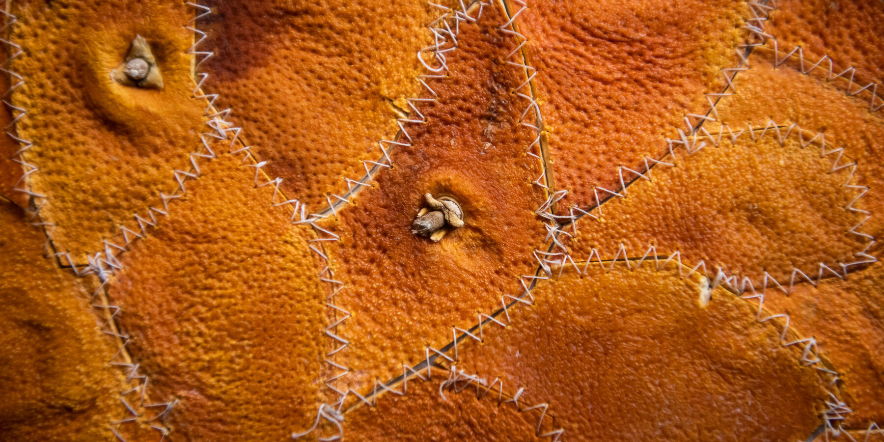 vo cam recycle citrus waste Alkesh Parmar Studio Arp Citrus Sinensis Material Matters