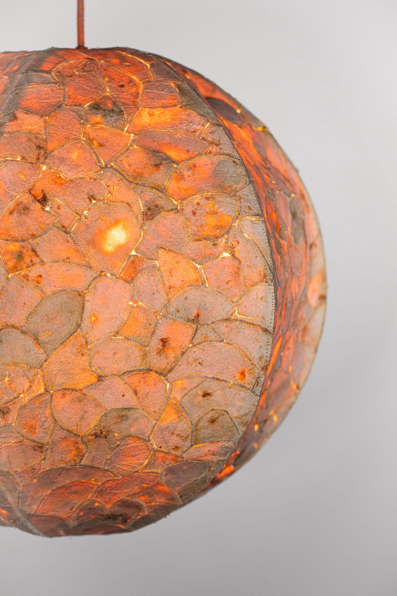 vo cam recycle citrus waste Alkesh Parmar Studio Arp Citrus Sinensis Material Matters