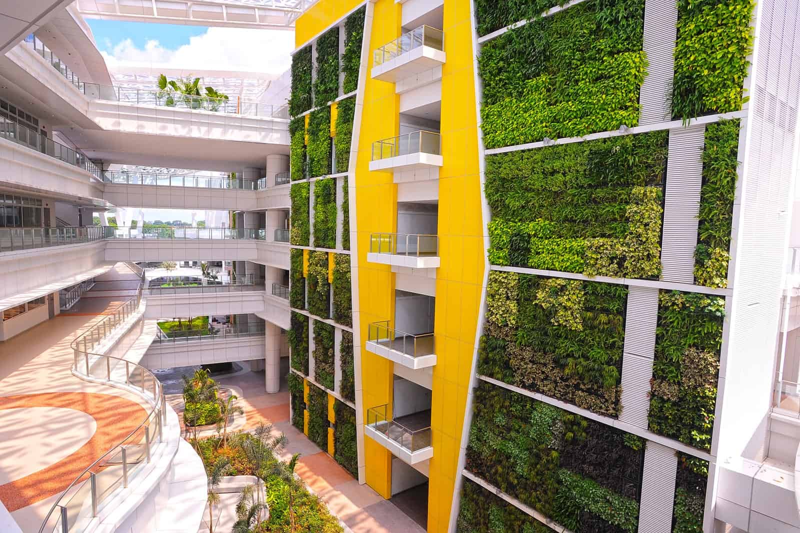 day leo climbing plants ivy helix Institute of Technical Education College Central singapore