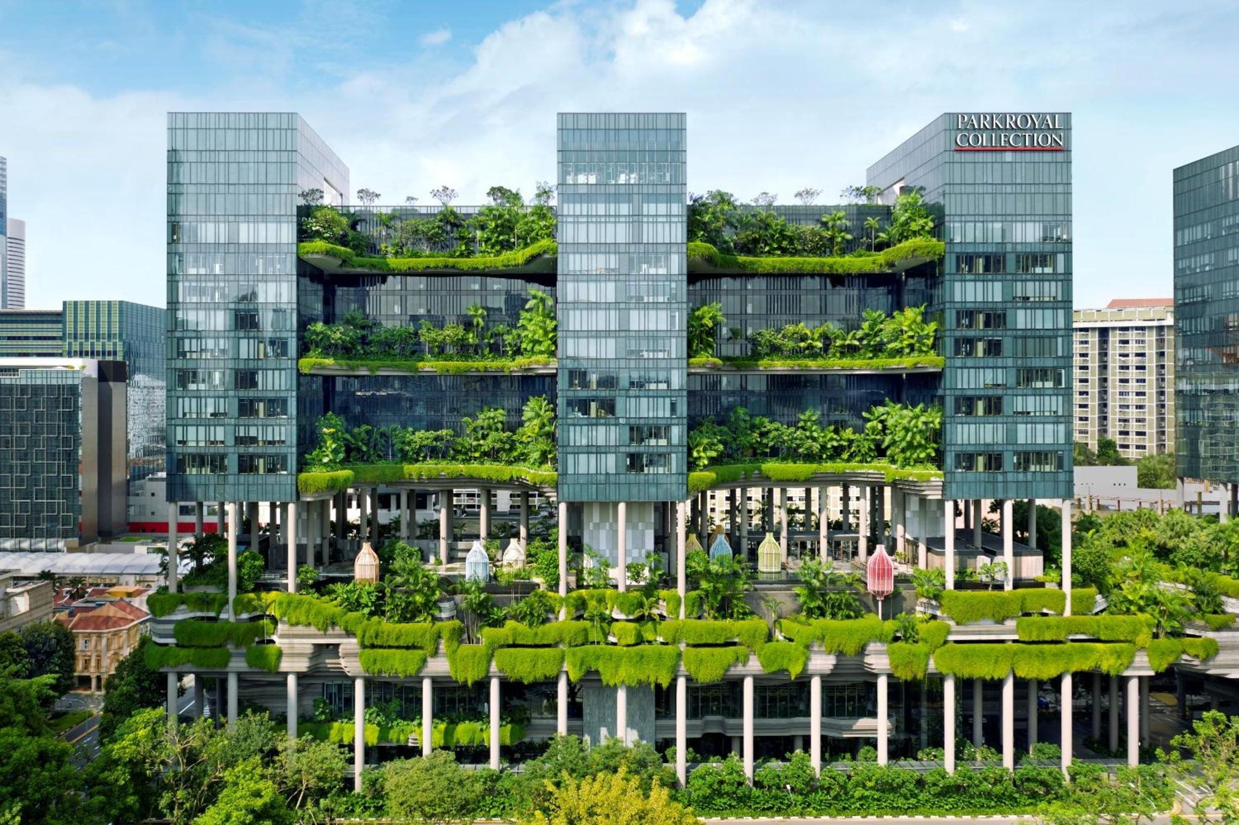 climbing plants ivy helix Parkroyal Hotel Singapore