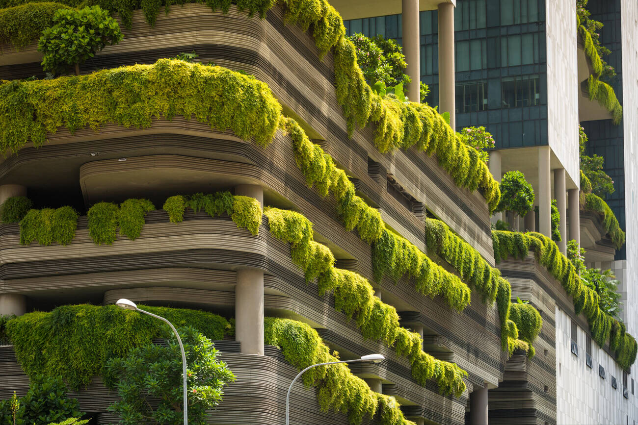 climbing plants ivy helix Parkroyal Hotel Singapore