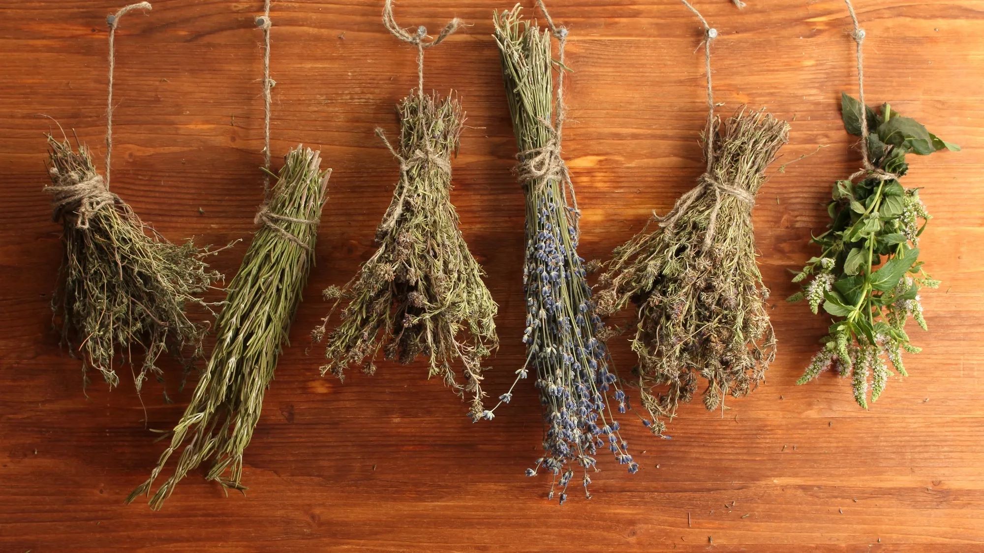 phoi kho bao quan thao moc tuoi fresh herb dry herb
